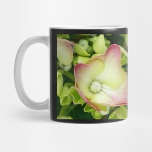 Hortensia Mug